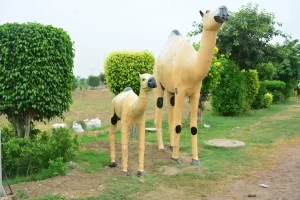 Insaf City Park Inside